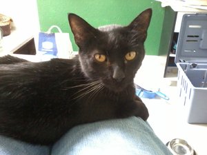 2014-02-22 14.27.02.jpg