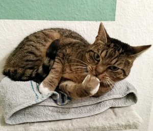 2015-02-05 19.50.09.jpg