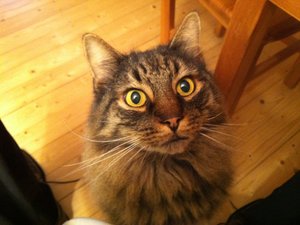 2012_11_18 IMG_1067.JPG