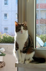 IMG_7007 (417x640).jpg