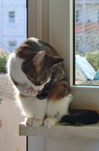 IMG_7008 (420x640).jpg