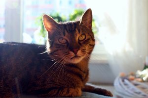 IMG_7019 (640x425).jpg