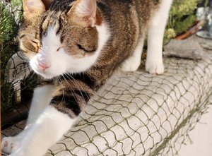 IMG_7058 (640x471).jpg