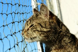 IMG_7099 (640x427).jpg