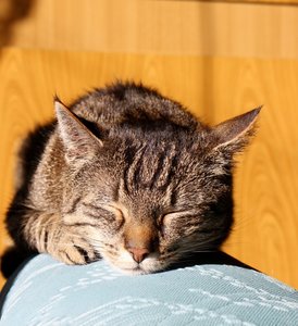 IMG_7111 (584x640).jpg