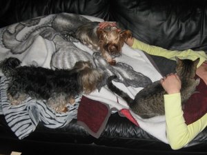 IMG_3348Paula kommt zu mir und den Hunden auf die Couch.JPG