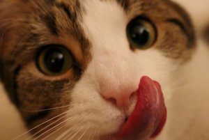 IMG_8376 (640x427).jpg