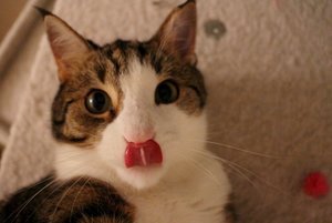 IMG_8433 (640x427).jpg