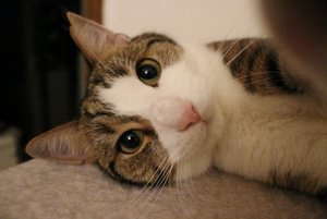 IMG_8418 (640x427).jpg