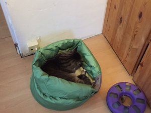 ImageUploadedByTapatalk1424624289.688216.jpg ImageUploadedByTapatalk1424624289.688216.jpg