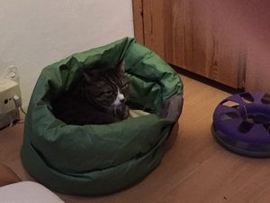 ImageUploadedByTapatalk1424624299.456560.jpg ImageUploadedByTapatalk1424624299.456560.jpg