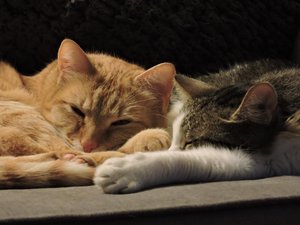 2015-02-23 20.04.23.jpg