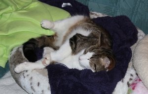 IMG_6589 (640x427).jpg