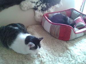 2015-02-16 13.59.40.jpg