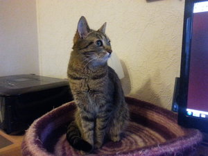 20150303_070154 (1).jpg