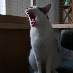 P1000027 - Kopie.JPG