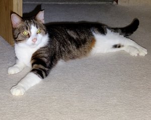 DSC02644 (640x509).jpg