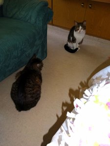 DSC02648 (2) (480x640).jpg