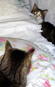 DSC02668 (407x640).jpg