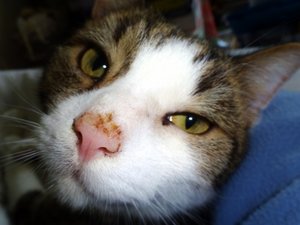 DSC02672 (640x480).jpg