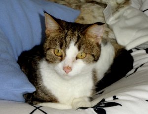 DSC02674 (640x489).jpg