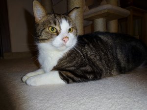 DSC02711 (640x480).jpg