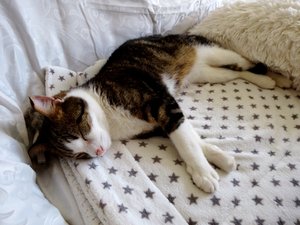 DSC02715 (640x479).jpg