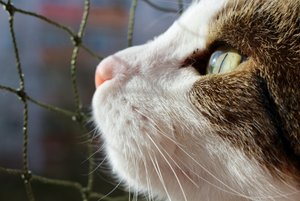 IMG_9198 (640x427).jpg