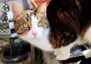 IMG_9238 (640x452).jpg