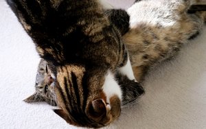 IMG_9268 (640x401).jpg