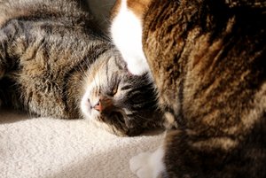 IMG_9284 (640x427).jpg