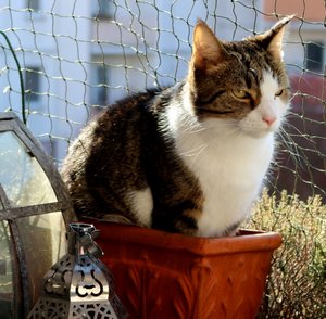 IMG_7293 (640x627).jpg