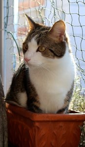 IMG_7295 (370x640).jpg