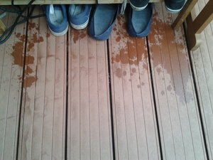 2015-03-14 13.13.14.jpg