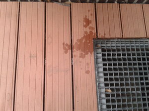 2015-03-14 13.13.23.jpg