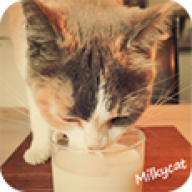 Milkycat