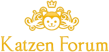 Katzen Forum