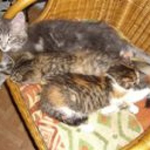 Neo, Nikita und Sina