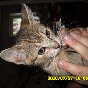 und das is mary-lou und auch sie würde ich gerne in liebe hände abgeben!!