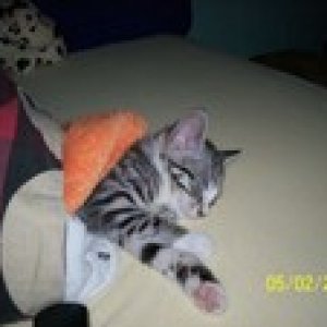 da war sie noch klein . ja sie schläft gerne unter der decke;)