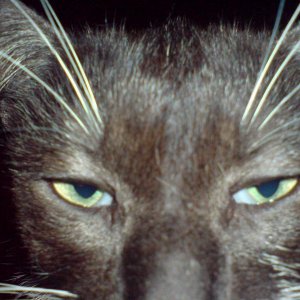 Wehe, du machst noch ein Foto!