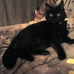 DSC00397 Na bin ich nicht schön?