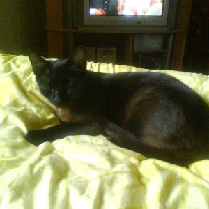 DSC00231 So mager und scheu kam sie zu mir