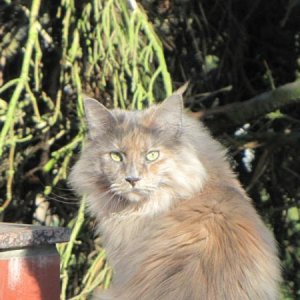 Venedig auf der Terasse