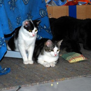 Kumma, da is der rote Punkt!