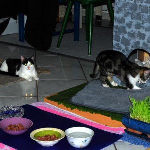 Willi erforscht die Burg, Erna hat das schon hinter sich.