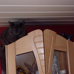 Blue und Sera...ein sehr begehrter Platz :-)