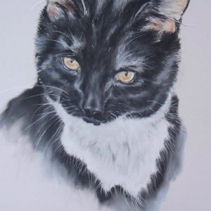 Ein Auftrag, schon abgeholt