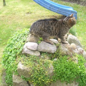 Sie fühlt sich bei uns wohl!