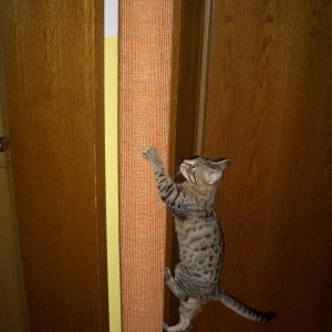 Emily hat's gleich kapiert... *jubel*